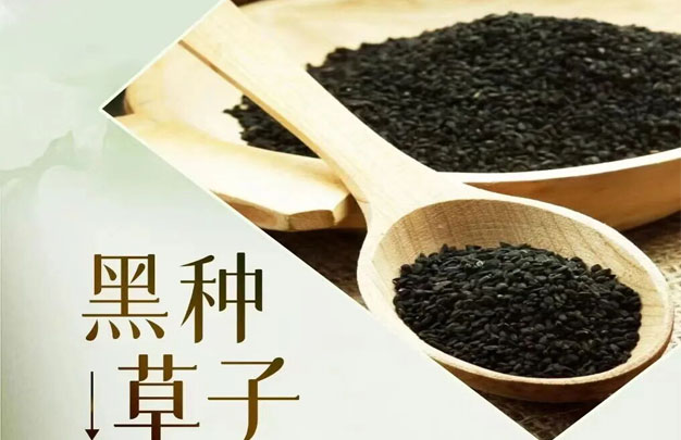 /uploads/image/2025/12/12/2216f6b665bfc7a5f264152c9d28f12b.jpg 修 10.jpg