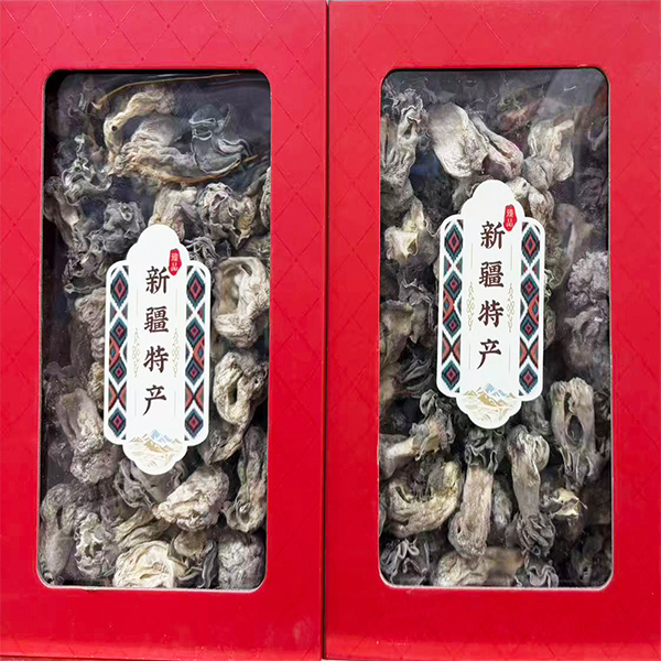 /uploads/image/2025/12/12/2275403dc7c91dc5c3965303f675ae58.jpg 0051.jpg