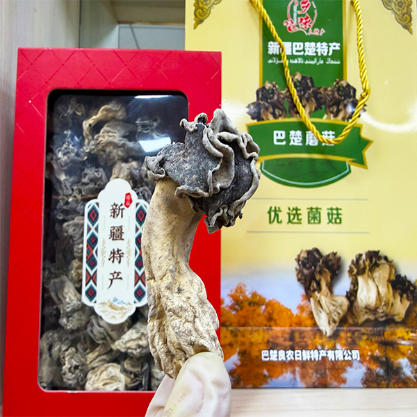 /uploads/image/2025/12/12/afe015ee8b068a09a346e25016df2cb0.jpg 2155.jpg