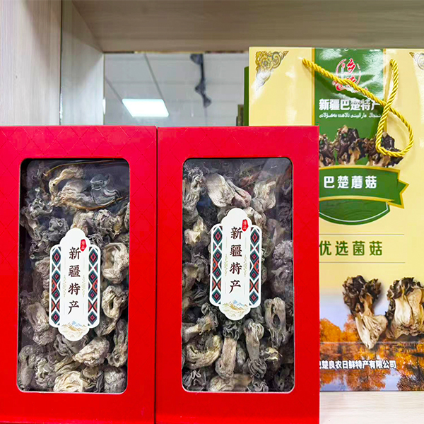 /uploads/image/2025/12/12/e25ae99648bd55accc30d01d95fcfb2d.jpg 0032.jpg