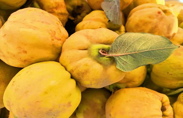 /uploads/image/2025/12/13/15cb52e70a91fc0e093e9221ee206ae9.jpg 1.jpg