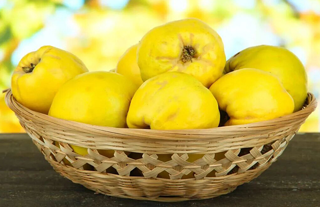 /uploads/image/2025/12/13/8214533d984d17e71e3a21462f9d0c79.jpg 5.jpg