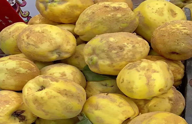 /uploads/image/2025/12/13/a7cdc943538351f17c3f25a0f9de9741.jpg 2.jpg