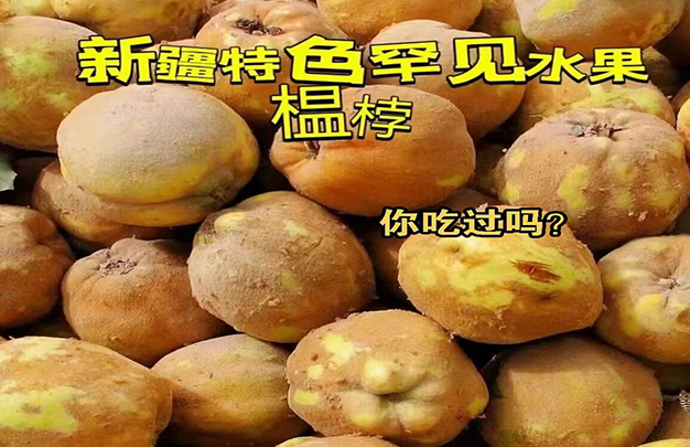 /uploads/image/2025/12/13/d2c67bf4b77437a979795a0333163aec.jpg 4.jpg