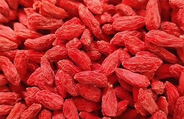 /uploads/image/2025/12/15/7bcb3abdfafa87b68d5a7a78b53f6baf.jpg 3.jpg