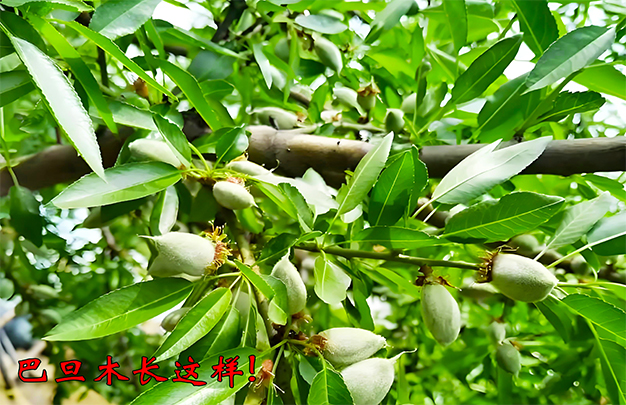 /uploads/image/2025/12/16/0ba03bfa358dbc377f3ef3605b186926.jpg 006.jpg