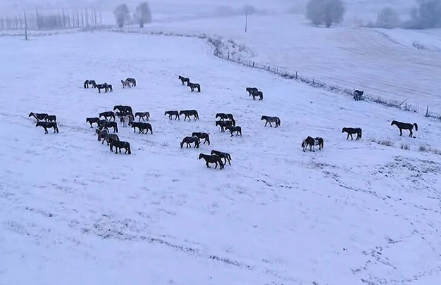 /uploads/image/2025/12/16/0f0ed78cdeef17c6491e44cae194693a.jpg 2.jpg