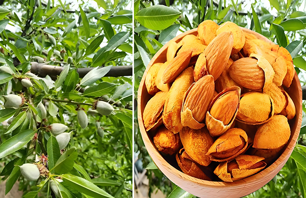 /uploads/image/2025/12/16/6a332190175beea68741ee1cefe911bb.jpg 004.jpg