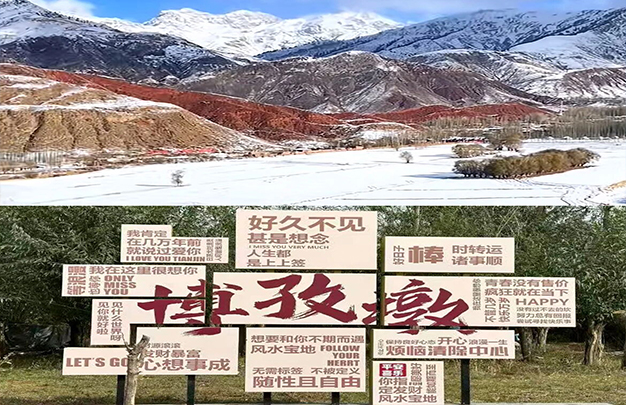 /uploads/image/2025/12/16/8169a068ec0b8a8b95d426b6f9de73fc.jpg 5.jpg