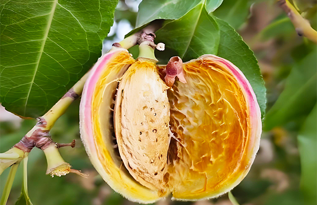 /uploads/image/2025/12/16/f8b6ba15170a68d7bfa7f18be9b0aec4.jpg 008.jpg