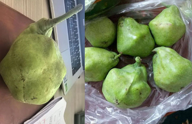 /uploads/image/2025/12/21/44bc545fe967f8b4d3ded9f8879731cb.jpg 修 1.jpg