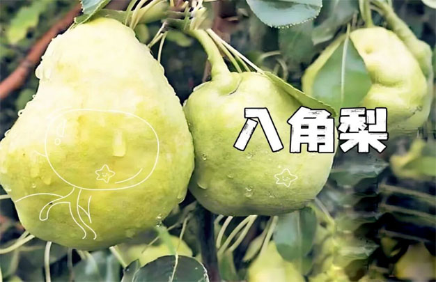 /uploads/image/2025/12/21/514997c6ade0ceebab0f865692aac31c.jpg 修 4.jpg