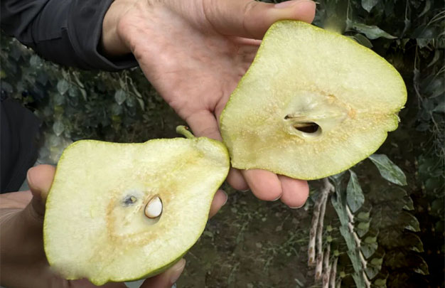 /uploads/image/2025/12/21/6a038178fcc1ab0d6f3dc9834ad3236d.jpg 修 3.jpg