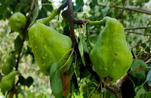 /uploads/image/2025/12/21/e4a6576cacde7e7faf2444ad758a1c20.jpg 修 2.jpg