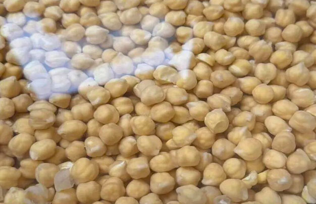 /uploads/image/2025/12/22/8f7788196735760580830de9543d906d.jpg 5.jpg