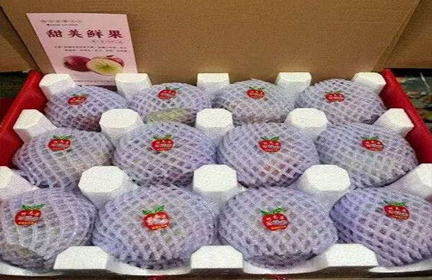 /uploads/image/2025/12/27/539e8eb46d288479564f23c0447511f7.jpg 7.jpg