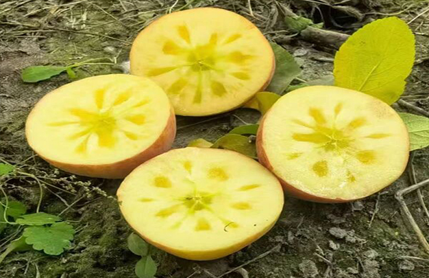 /uploads/image/2025/12/27/5d9ecd917c40d77a15d3f7ae06826b80.jpg 5.jpg