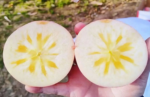 /uploads/image/2025/12/27/89b91e1c8fc1ba11e7f10a43b1ae9084.jpg 1.jpg