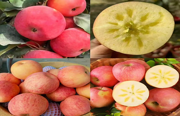 /uploads/image/2025/12/27/c8ed53a909bc35379b38c30397bc2119.jpg 6.jpg