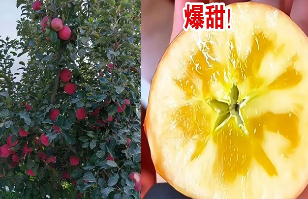 /uploads/image/2025/12/27/dc4cc05b99306831e215b88f9e5aced6.jpg 2.jpg