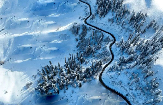 /uploads/image/2026/01/17/346717317e1fa34e879ee57994eb79b8.jpg 修 5.jpg