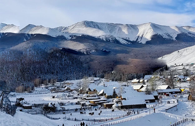 /uploads/image/2026/01/17/bffb4cf0827ee364fb057cb7f98fc68c.jpg 修 7.jpg