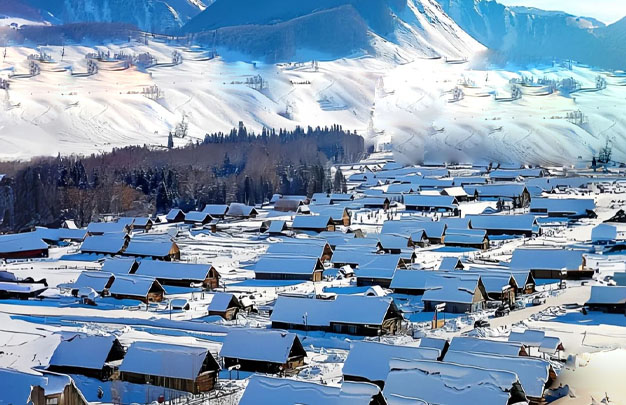 /uploads/image/2026/01/17/f51b5d7406073999479d3d5ab4927c26.jpg 修 2.jpg