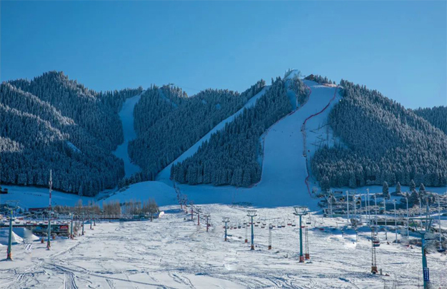 /uploads/image/2026/01/22/8091f16e3f703590d8b2431d0e648061.jpg xiu 6.jpg