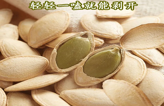 /uploads/image/2026/01/23/193100ddcc42c2c7efbf648db3bc14fe.jpg 修 2.jpg