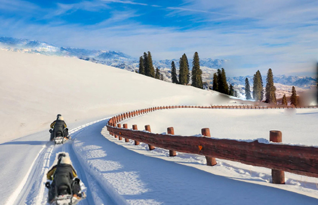 /uploads/image/2026/01/27/13d2ff6a451982fcbaff152466acc69d.jpg 修 1.jpg