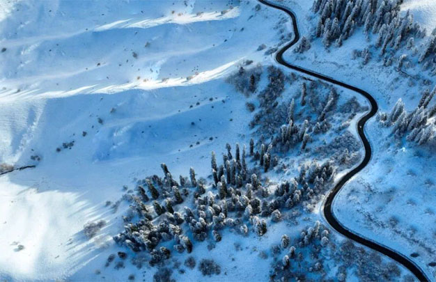 /uploads/image/2026/01/28/c2b127dadfc07ccb11b7818645f2a60e.jpg 修 2.jpg