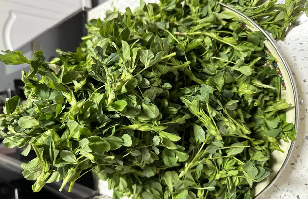 /uploads/image/2026/03/27/c61c8c7619c2316d1c89a10da6319e8f.jpg 修 2.jpg