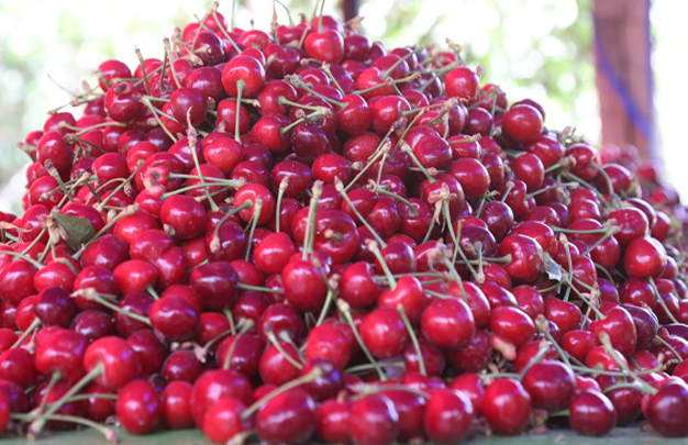 /uploads/image/2026/04/10/3422bf51eb1309d764c73b91dd8c5334.jpg 修 1.jpg