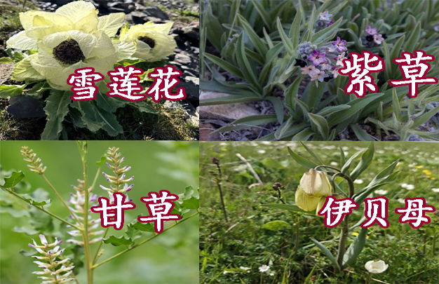 /uploads/image/2026/04/11/59ec45302d12f97964d2a59339c1d102.jpg 修图 10.jpg