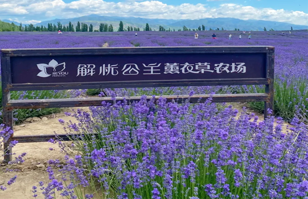 修 3.jpg