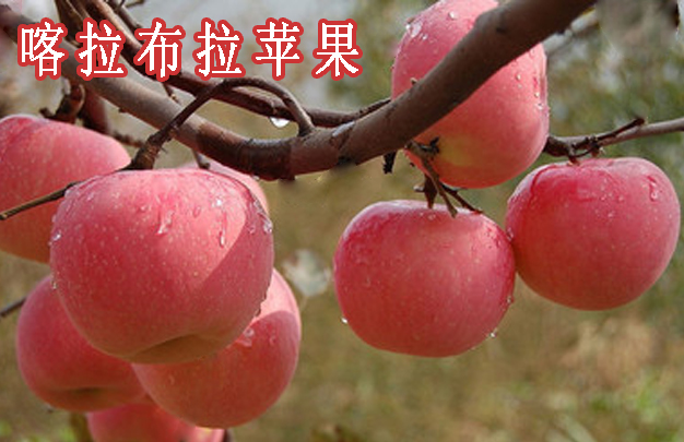 修 1.jpg