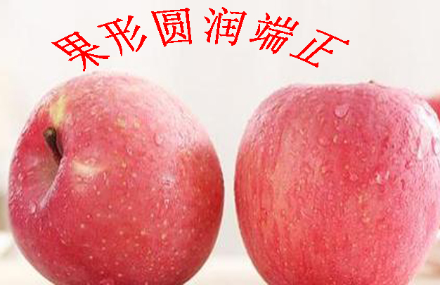 修 3.jpg
