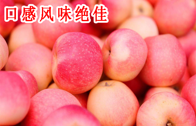修2.jpg