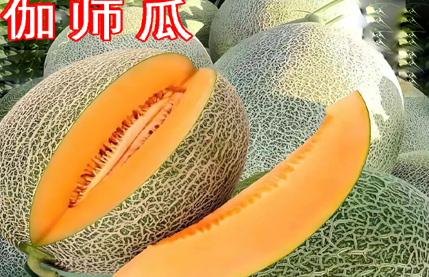 /uploads/image/2026/07/13/2c295869cd5225a3ac0307e34a6ff6c7.jpg 修 21.jpg