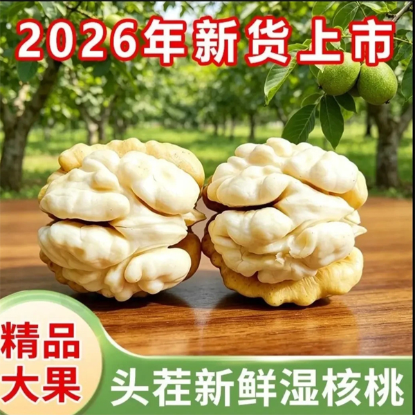 修 5.jpg