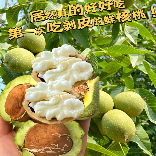 修 7.jpg