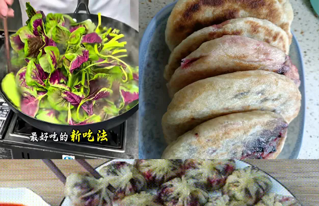/uploads/image/2026/08/11/4a19590277b6c7f8fd7194b34c059af1.jpg 修 2.jpg